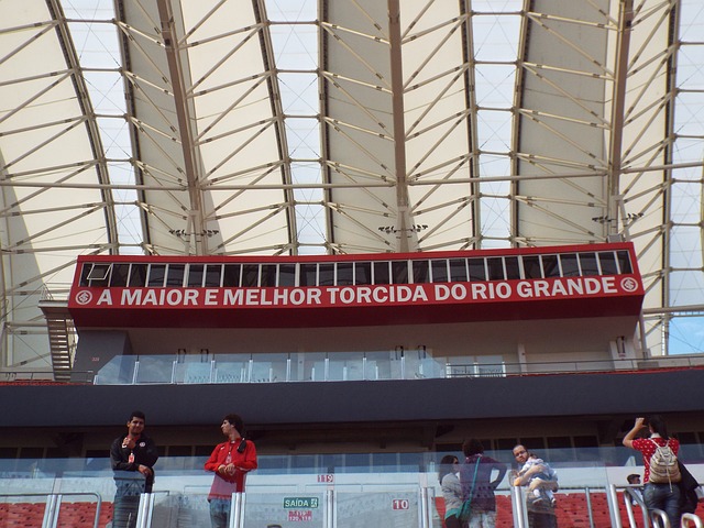 的法国中卫 的法国中卫