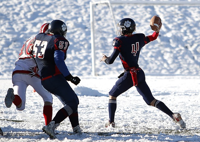 在欧锦赛资 在欧锦赛资