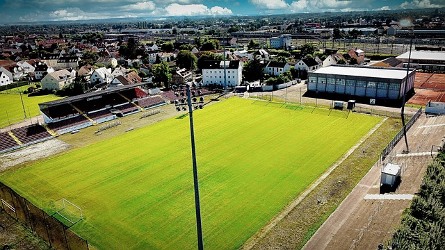 球迷们仍然 球迷们仍然