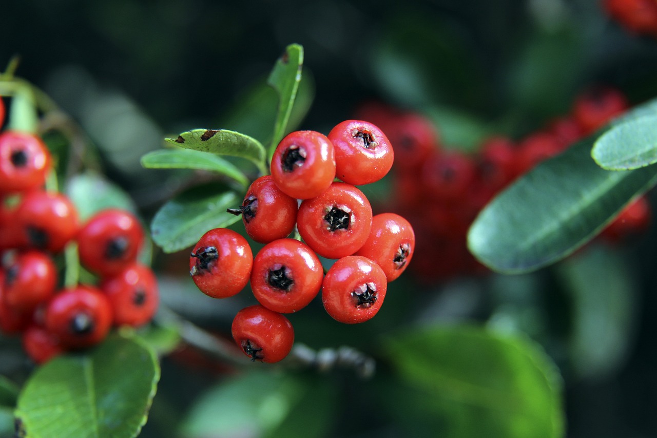 20年前的NBA比赛强度，真的比现在更大吗.